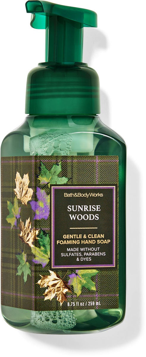 Foaming Hand Soaps - Bath & Body Works | Bath & Body Works