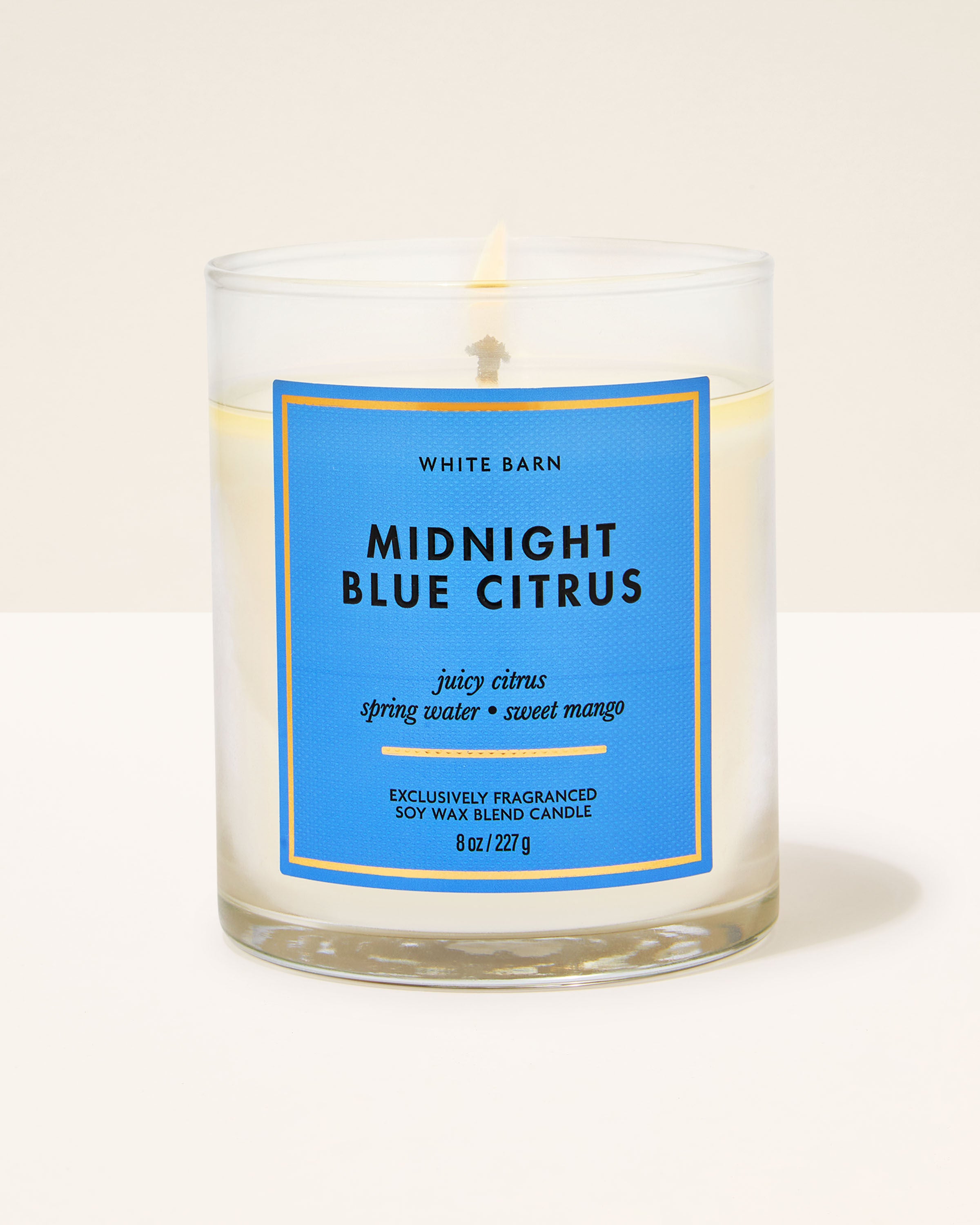 Midnight Blue Citrus Single Wick Candle | Bath & Body Works
