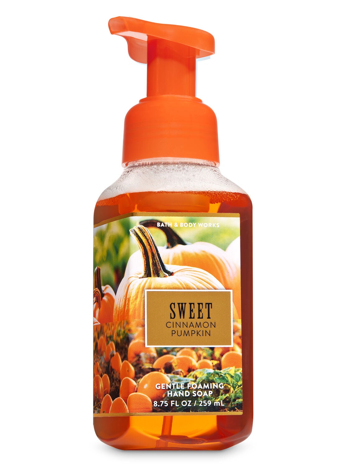 Sweet Cinnamon Pumpkin Gentle Foaming Hand Soap | Bath ...
