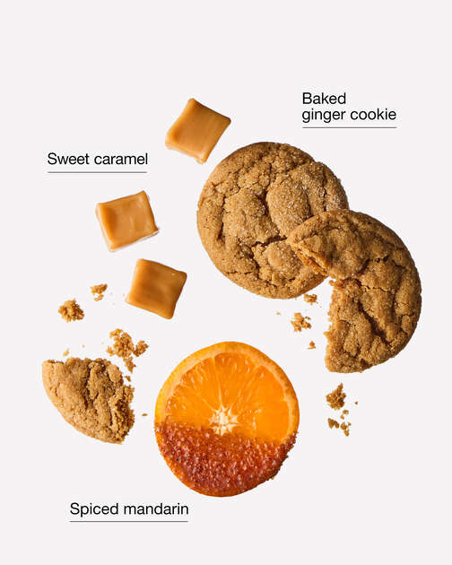 Home Sweet Gingerbread Travel Size Fine Fragrance Mist