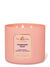 Champagne Toast 3-Wick Candle