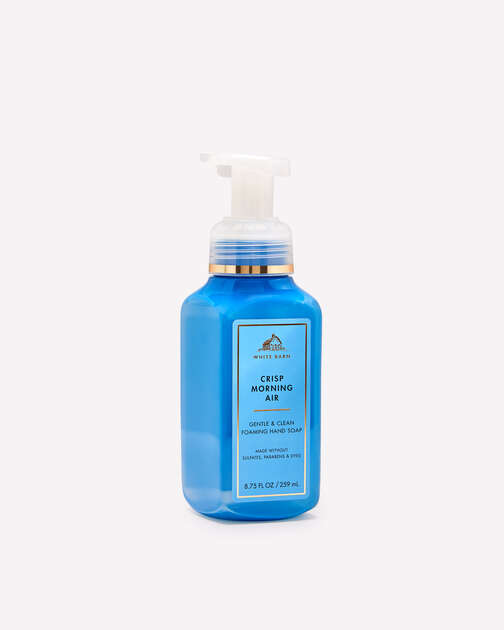 Crisp Morning Air Gentle & Clean Foaming Hand Soap