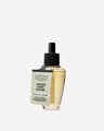 Japanese Cherry Blossom Wallflowers Fragrance Refill