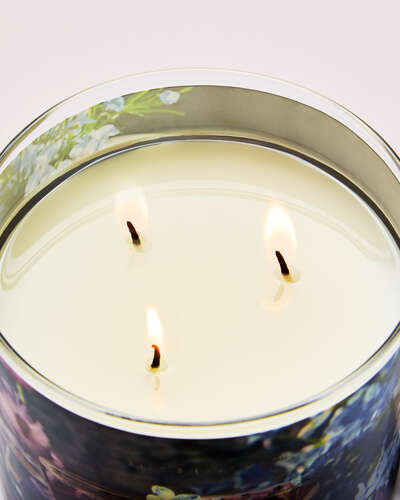 Blueberry Bellini 3-Wick Candle