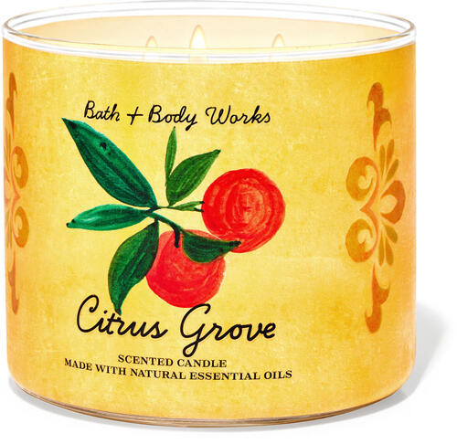 Citrus Grove 3-Wick Candle