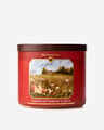 Farmhouse Pumpkin & Spice 3-Wick Candle