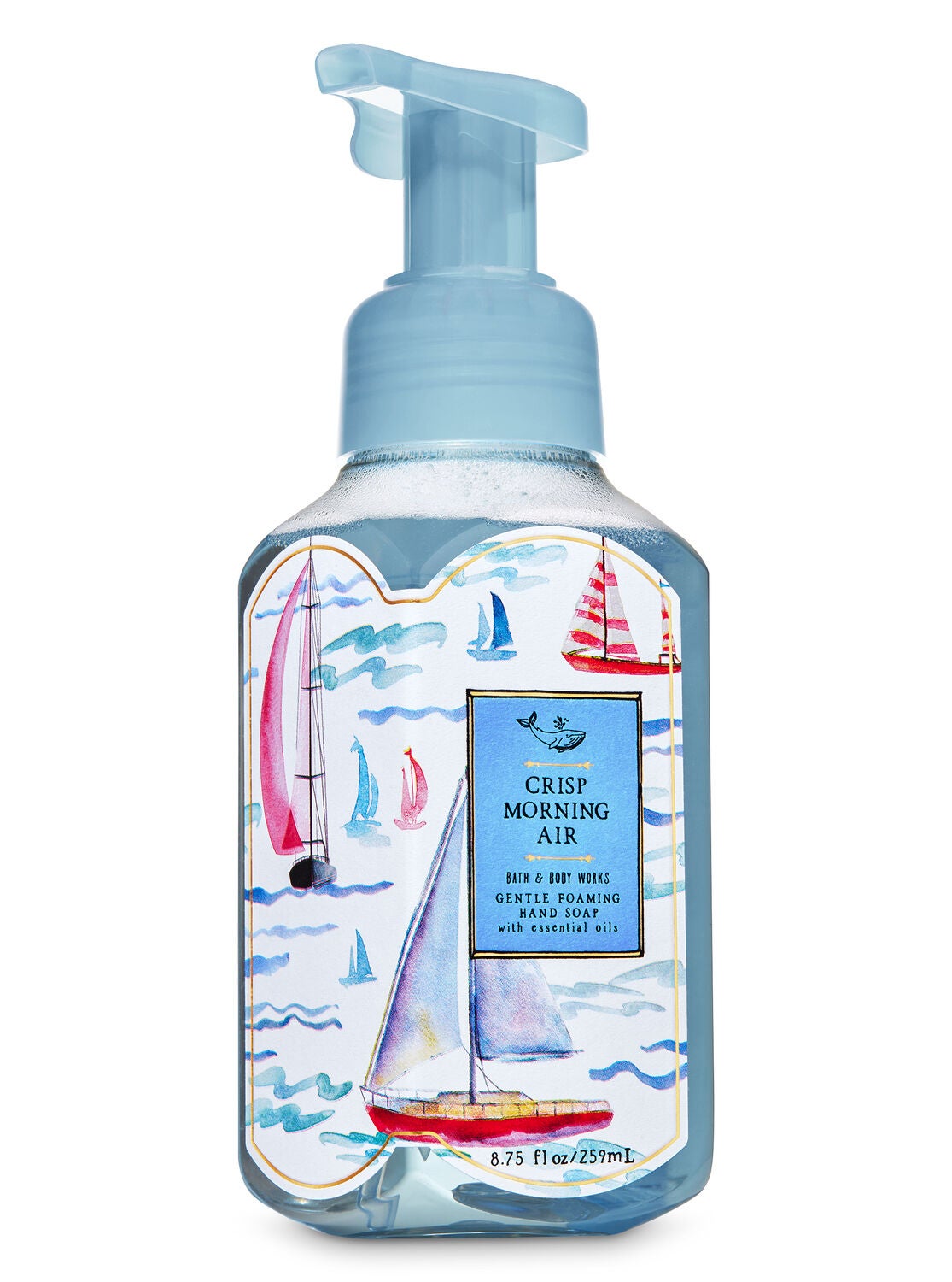 Crisp Morning Air Gentle Foaming Hand Soap Bath Body Works