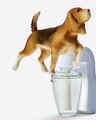 Sporting Dog Wallflowers Fragrance Plug
