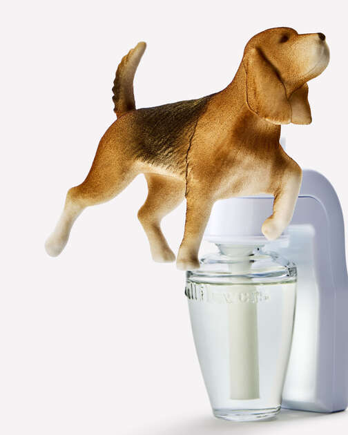 Sporting Dog Wallflowers Fragrance Plug