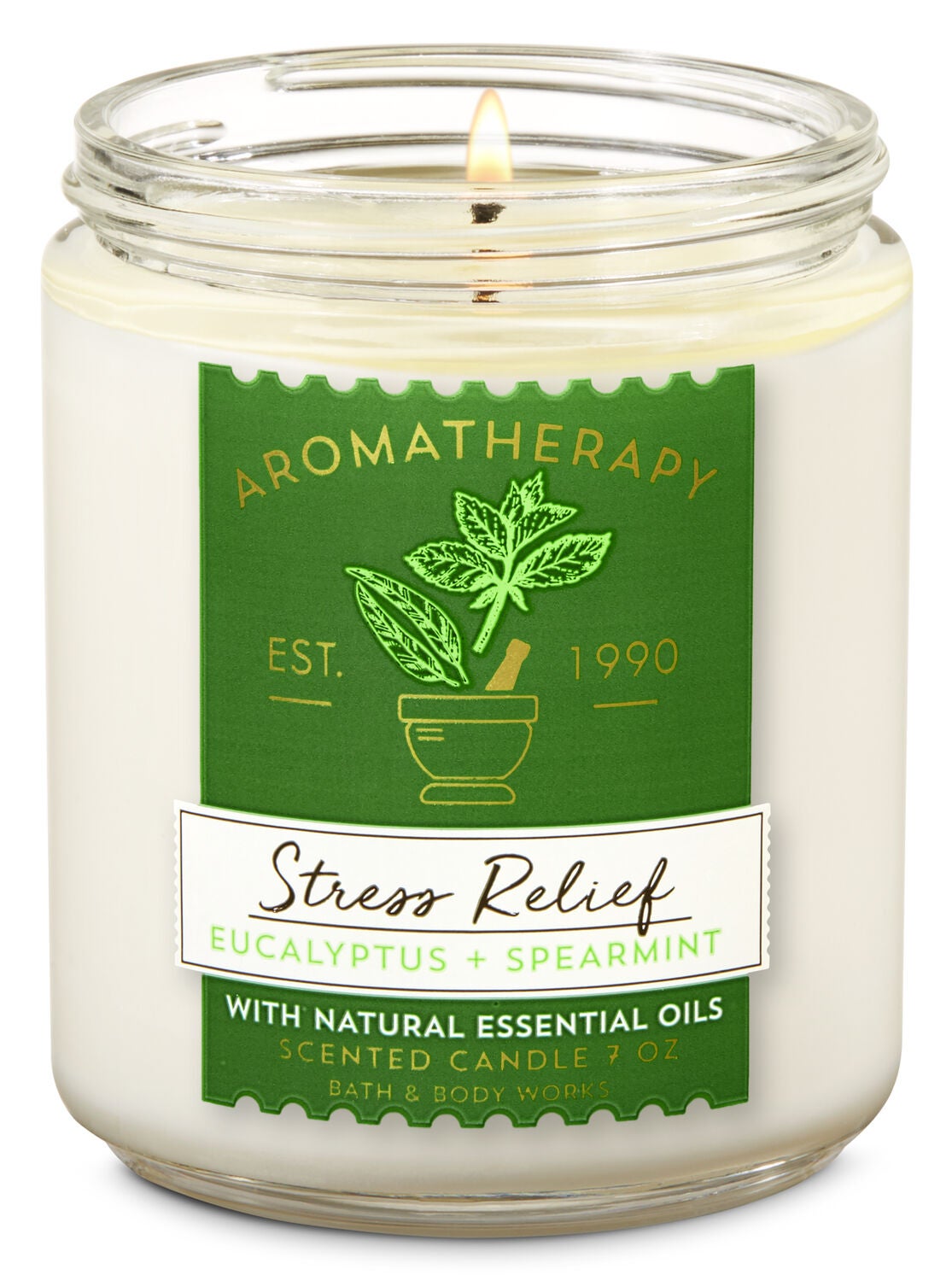 Eucalyptus Spearmint Single Wick Candle Aromatherapy Bath