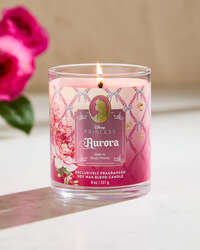 Aurora Single Wick Candle