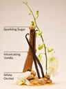 Warm Vanilla Sugar Wallflowers Refills 2-Pack
