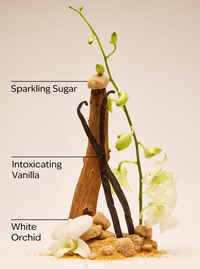 Warm Vanilla Sugar Wallflowers Refills 2-Pack