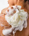 White Pumpkin & Chai Body Wash