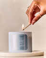 Eucalyptus Snowfall 3-Wick Candle