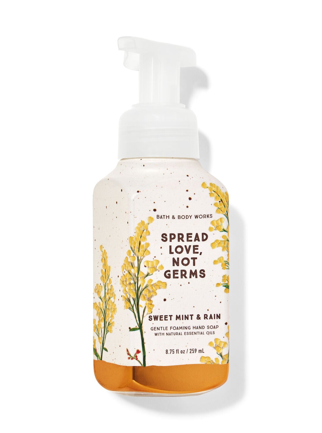Sweet Mint & Rain Gentle Foaming Hand Soap