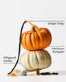 Sweet Cinnamon Pumpkin Gentle & Clean Foaming Hand Soap