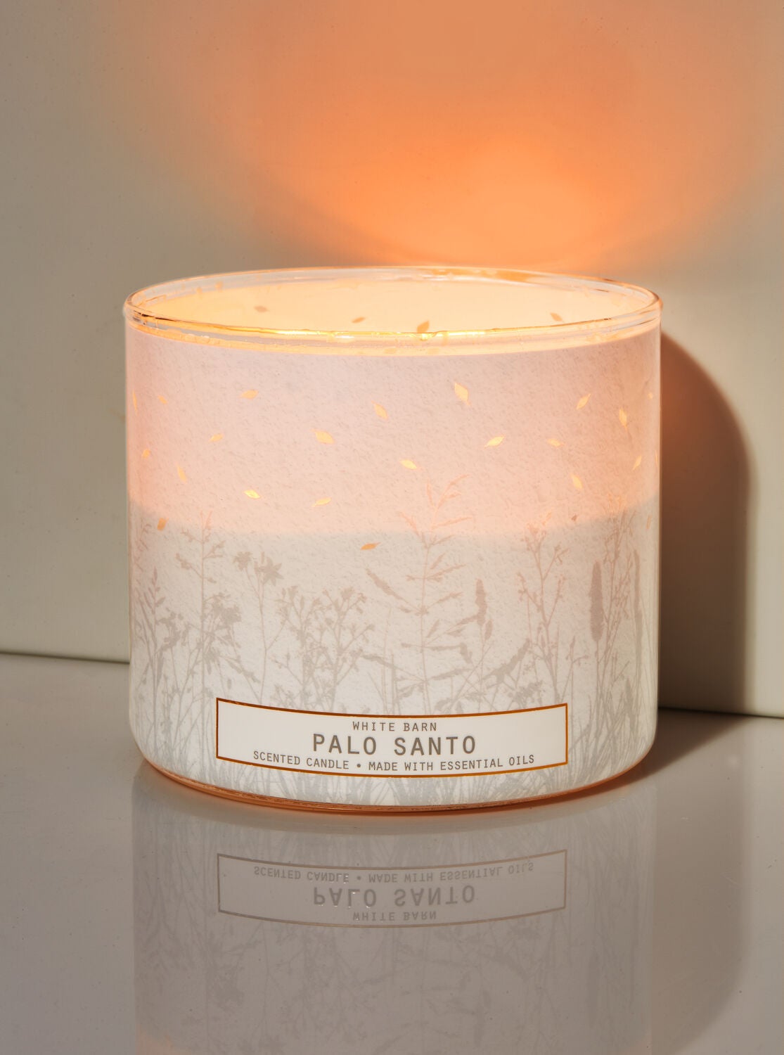 Scented Candles: 3-wick and Single Wick - Bath & Body Works