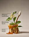 Whipped Honey & Vanilla Concentrated Room Spray