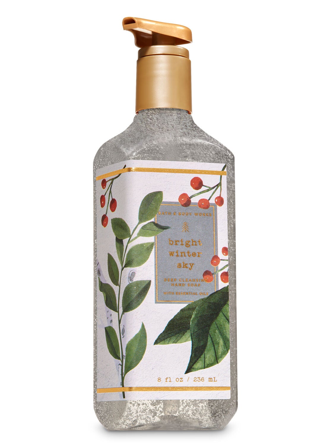Bright Winter Sky Deep Cleansing Hand Soap - Bath And Body Works