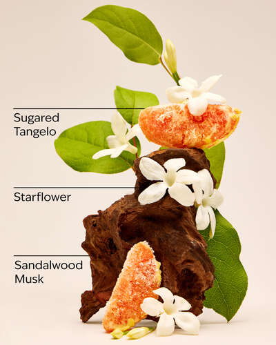 In the Stars Travel Size Fine Fragrance Mist