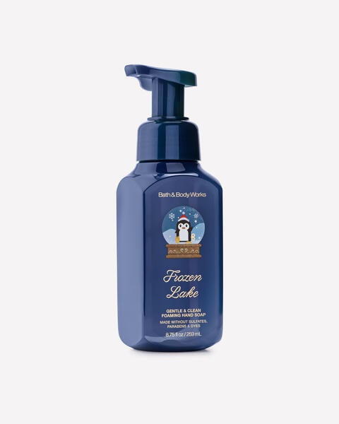 Frozen Lake Gentle & Clean Foaming Hand Soap