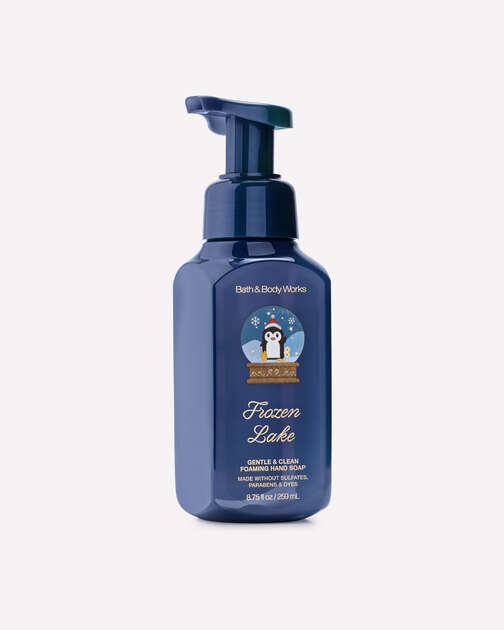 Frozen Lake Gentle & Clean Foaming Hand Soap