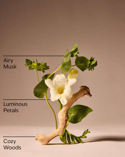 Vera Bradley Blue Paisley Gift Set