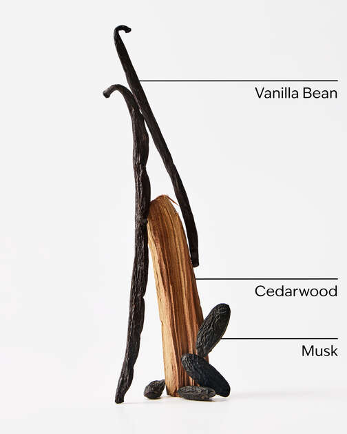 Vanilla + Tonka 4-Wick Candle