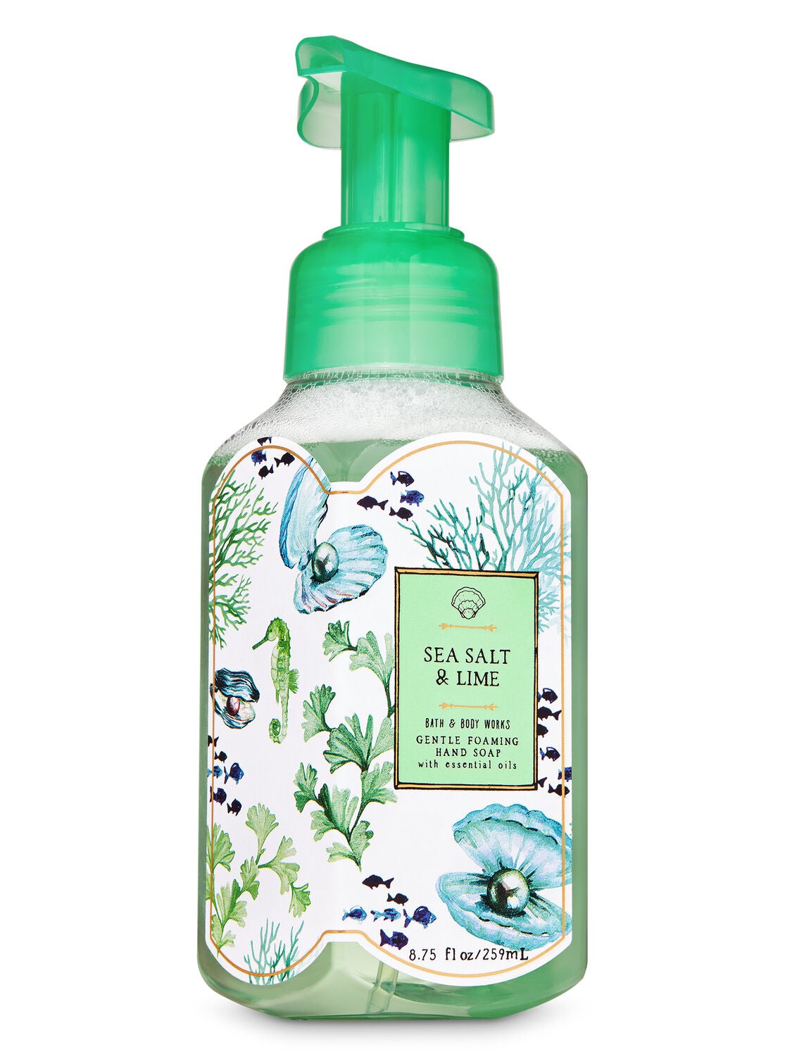 Sea Salt & Lime Gentle Foaming Hand Soap - Bath And Body Works