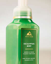 Eucalyptus Mint Gentle & Clean Foaming Hand Soap