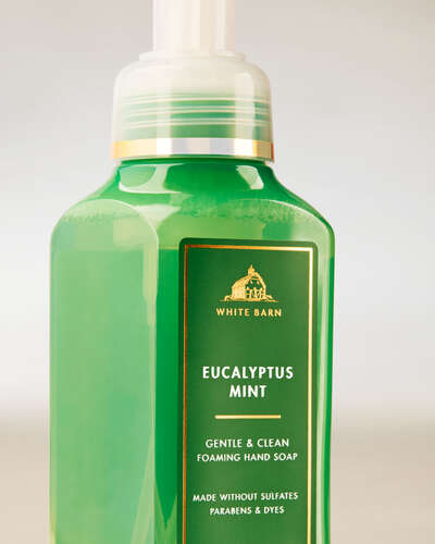 Eucalyptus Mint Gentle & Clean Foaming Hand Soap