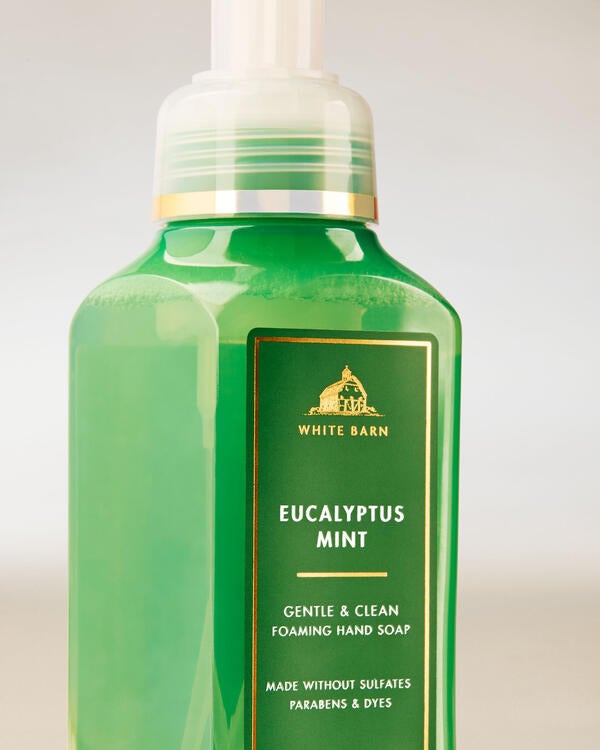 Eucalyptus Mint Gentle & Clean Foaming Hand Soap