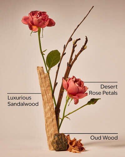 Rose & Oud Single Wick Candle