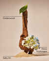 Shoreline Hydrangea 3-Wick Candle