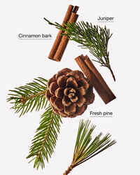 Cinnamon Pinecone Single Wick Candle