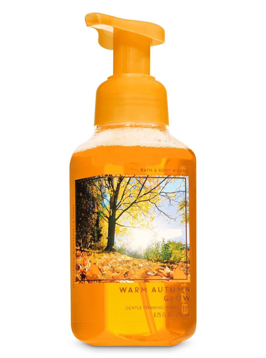 Warm Autumn Glow Gentle Foaming Hand Soap - Bath And Body Works