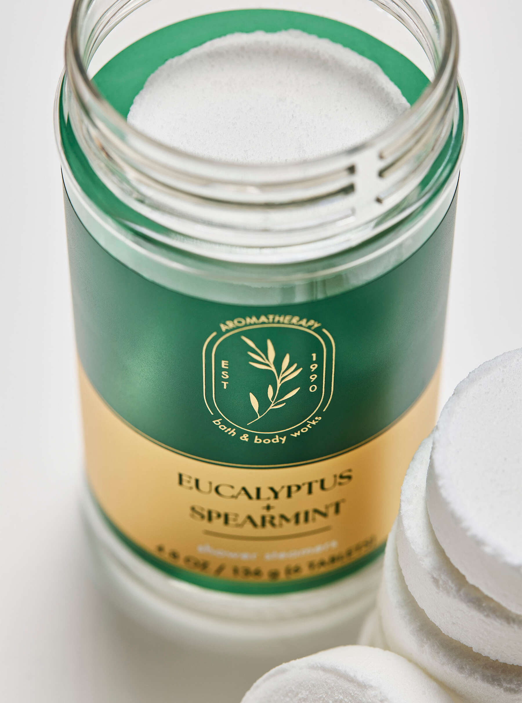 Eucalyptus Spearmint Shower Steamers | Bath & Body Works