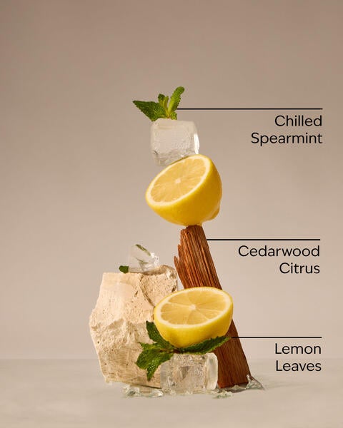 Fresh Amalfi Lemon Single Wick Figural Candle