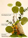 Eucalyptus Spearmint Gift Set