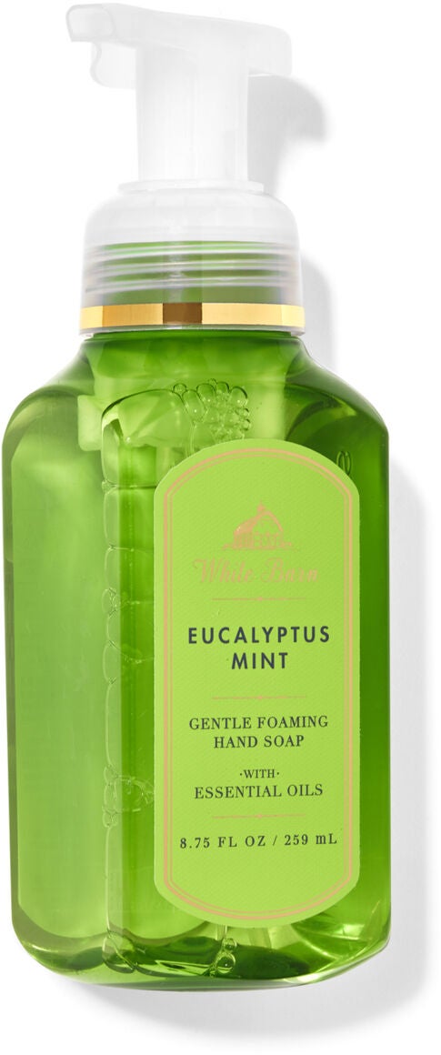 Eucalyptus Mint Gentle Foaming Hand Soap