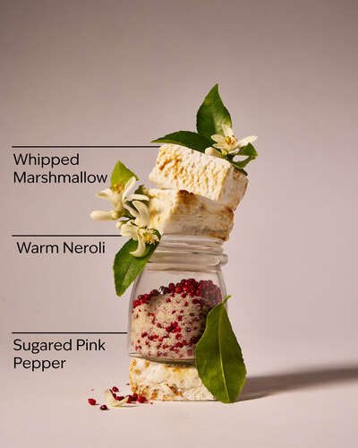 Love Unleashed Fine Fragrance Mist