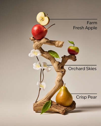 Sweet Apple Gentle & Clean Foaming Hand Soap