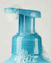 Blueberry Beach Club Gentle & Clean Foaming Hand Soap