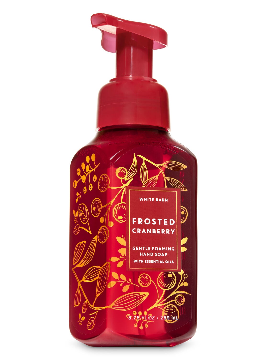 Frosted Cranberry Gentle Foaming Hand Soap - Bath And Body Works