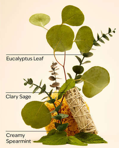 Eucalyptus Spearmint Moisturizing Shampoo