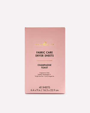 Champagne Toast Dryer Sheets
