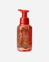 Pumpkin Cupcake Gentle & Clean Foaming Hand Soap