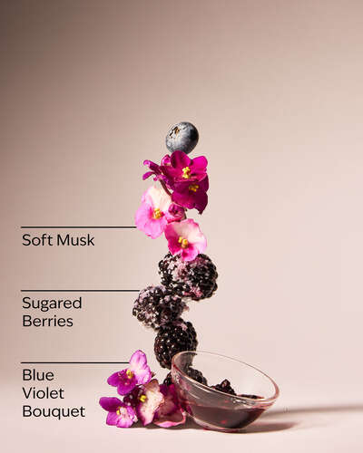 Violets Are Blue 3-Wick Candle