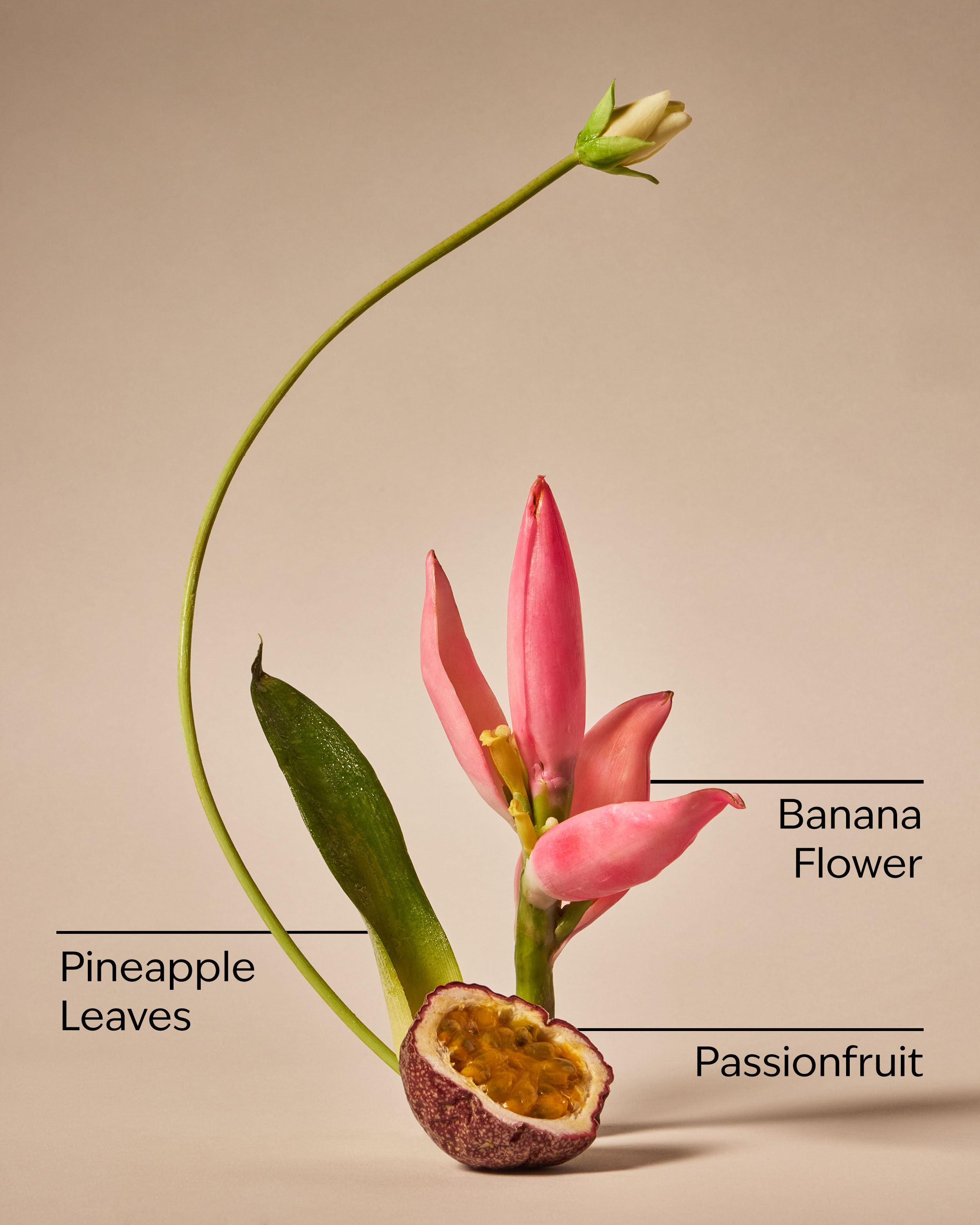 Bahamas Passionfruit & Banana Flower Body Cream | Bath & Body Works